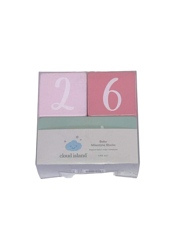 Cloud Island Milestone Wood Blocks Cheap